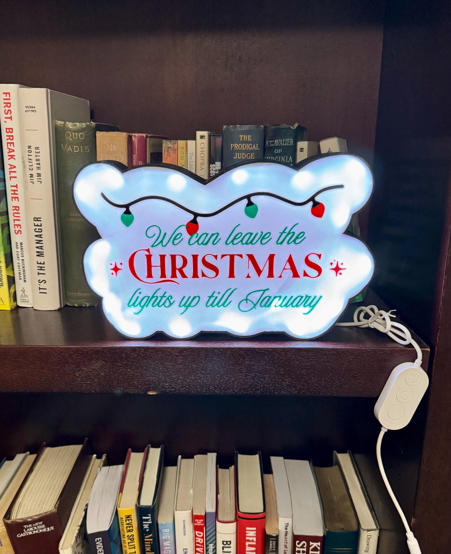 Taylor Swift Christmas Lights LED Sign – Govee Music Sync, Swiftie Decor