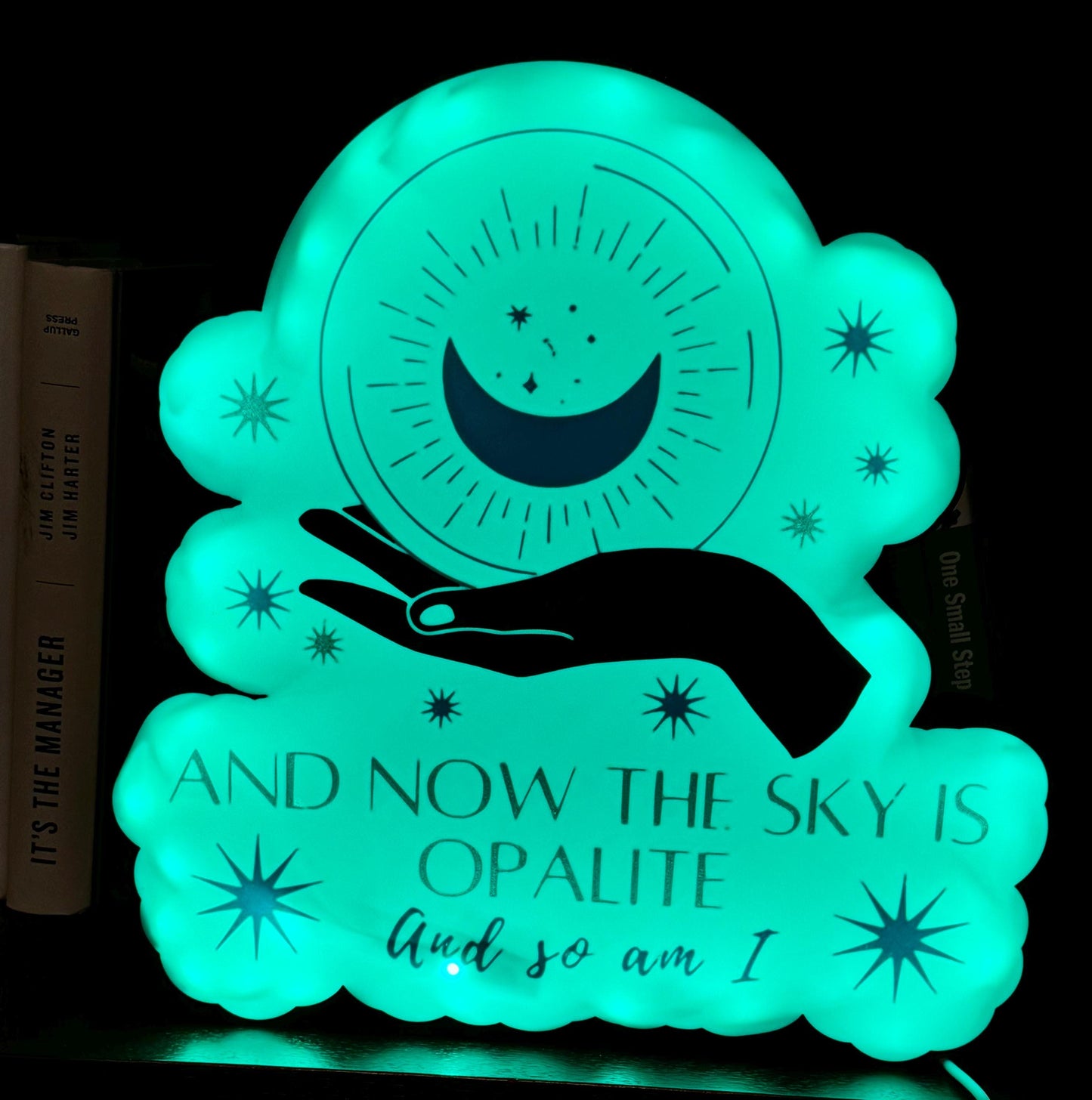 Sky is Opalite Lighted Sign - Taylor Swift - Govee LED Music Mode & Timer