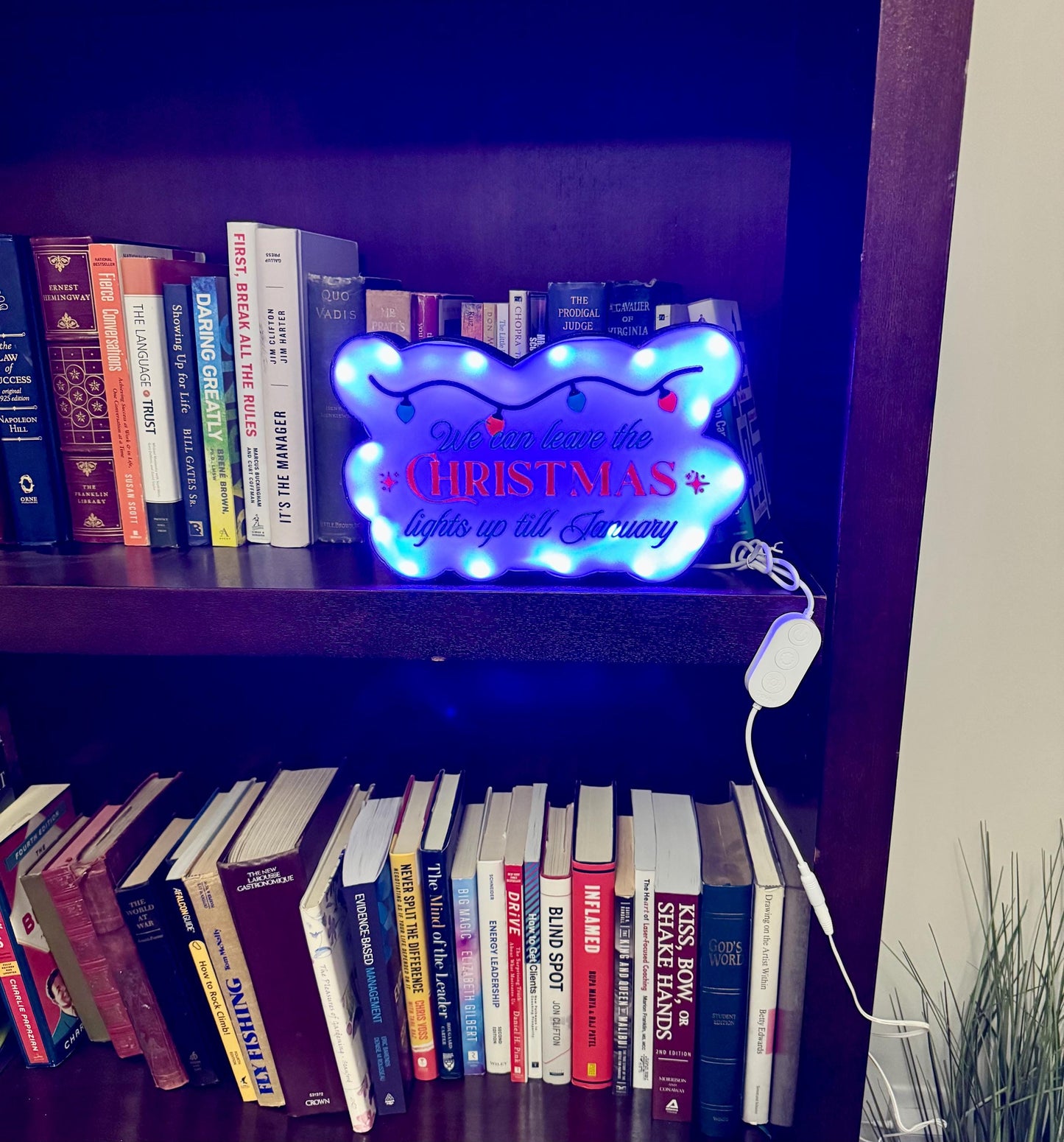 Taylor Swift Christmas Lights LED Sign – Govee Music Sync, Swiftie Decor