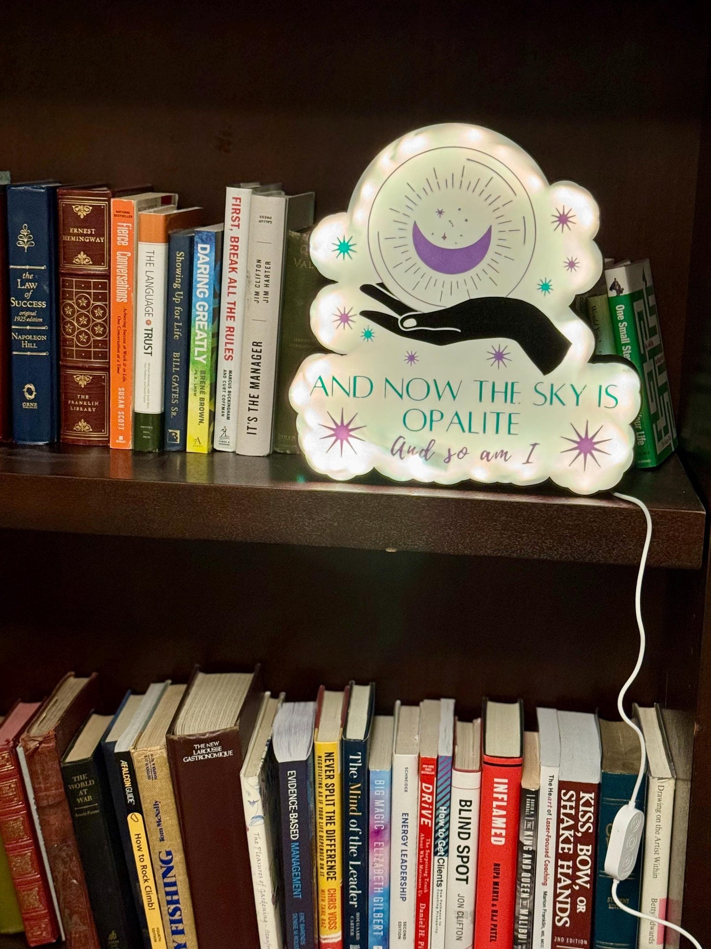 Sky is Opalite Lighted Sign - Taylor Swift - Govee LED Music Mode & Timer
